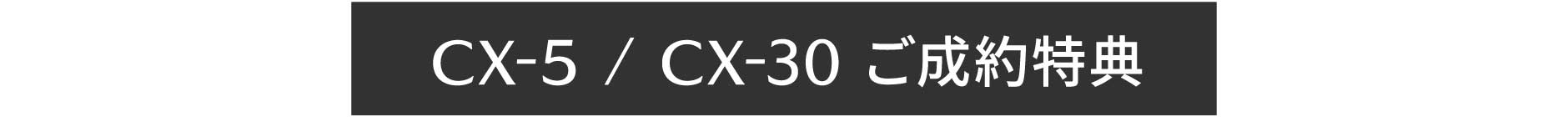 CX-5 / CX-30 ご成約特典