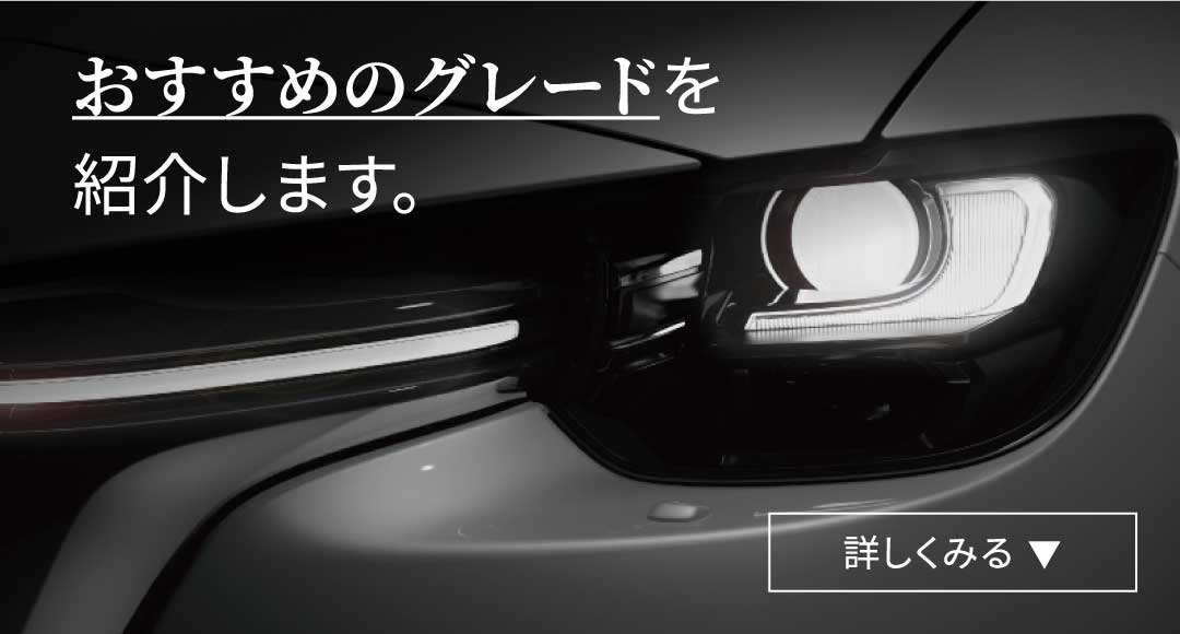 おすすめのグレードを紹介します。