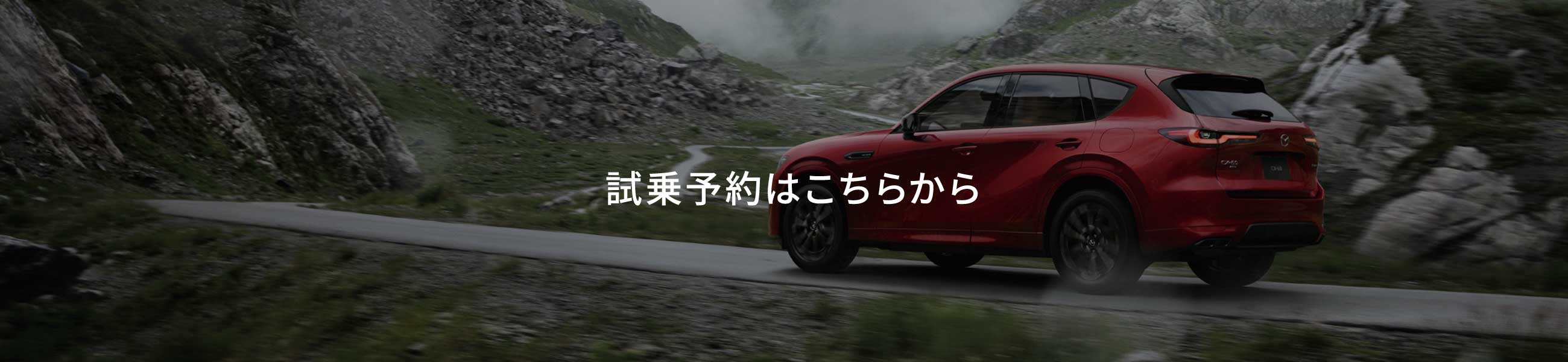 試乗予約はこちらから