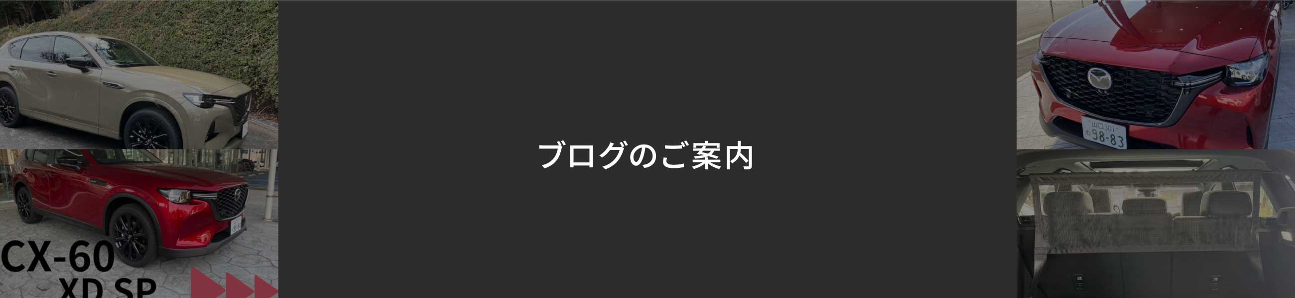 ブログのご案内