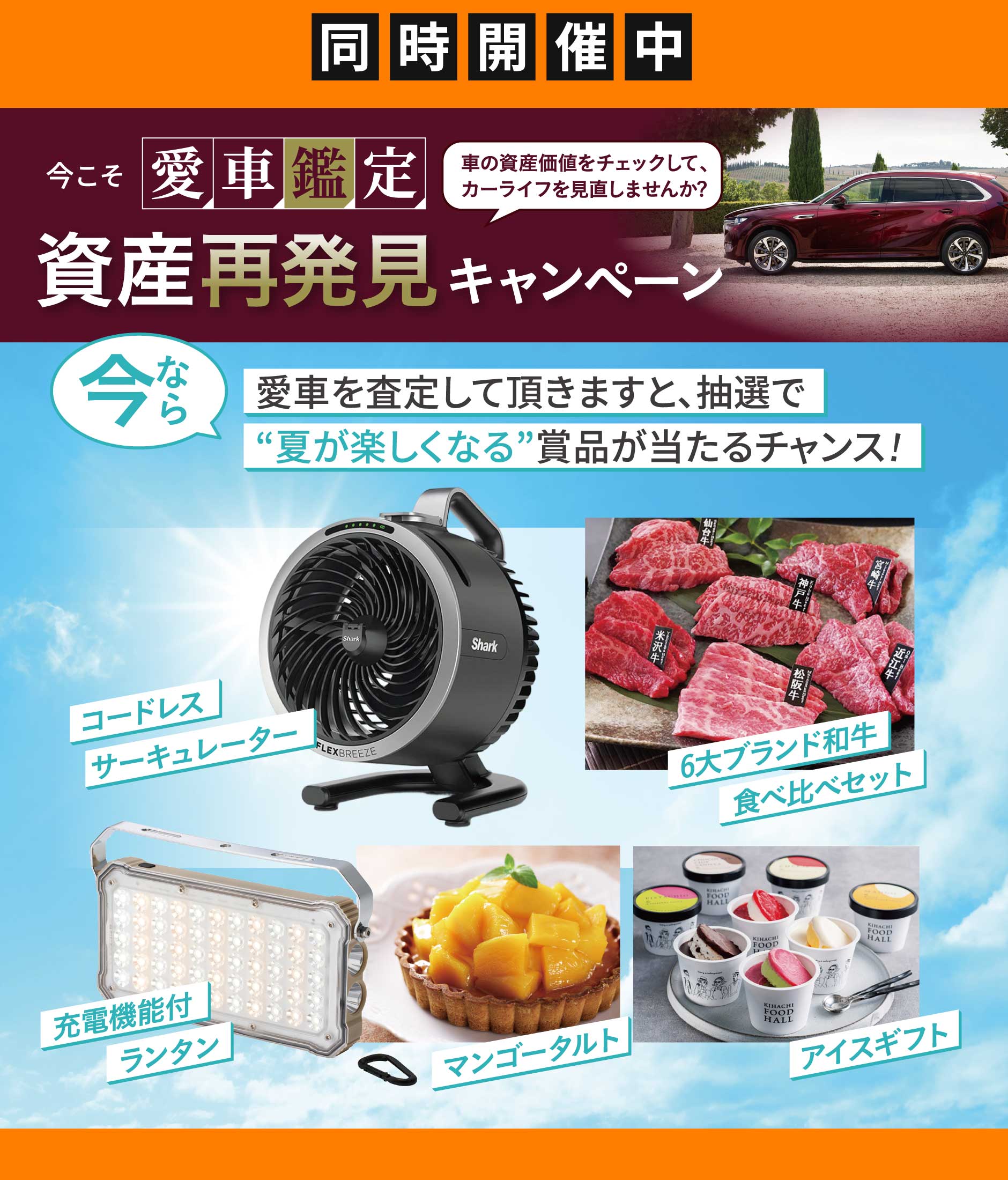 同時開催中 今こそ愛車鑑定 資産再発見キャンペーン