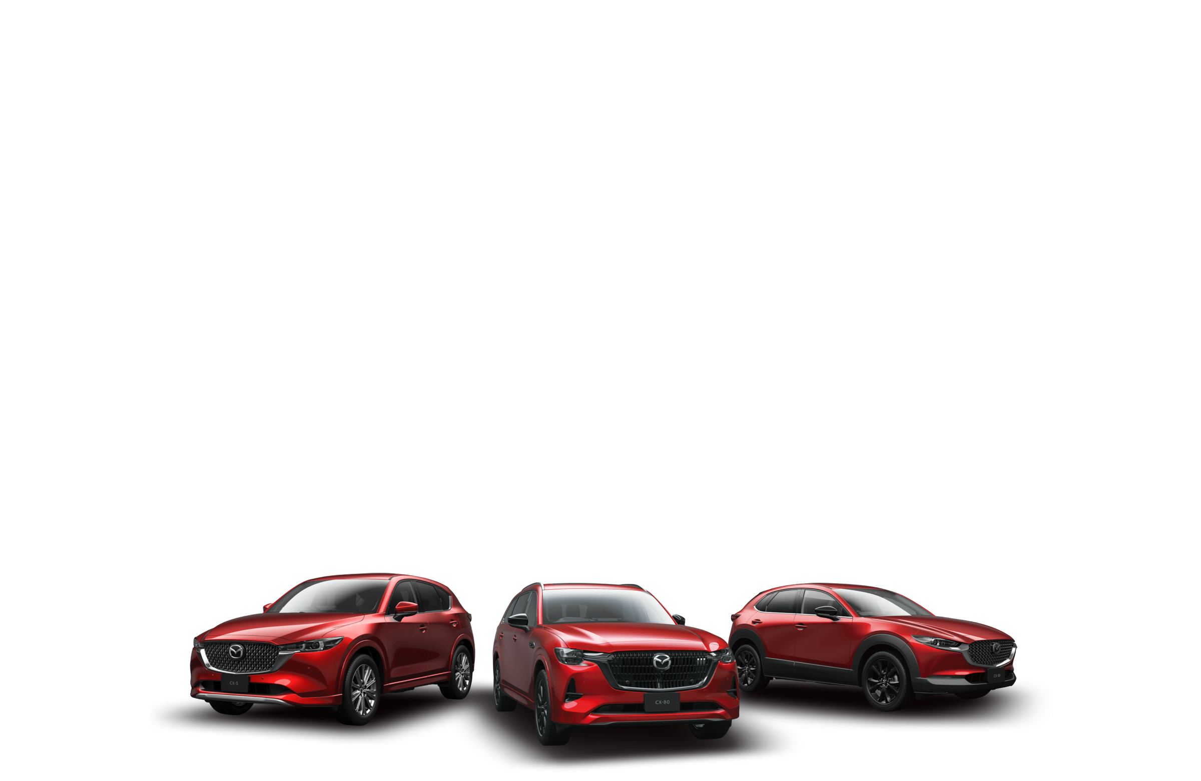 決算special特選車