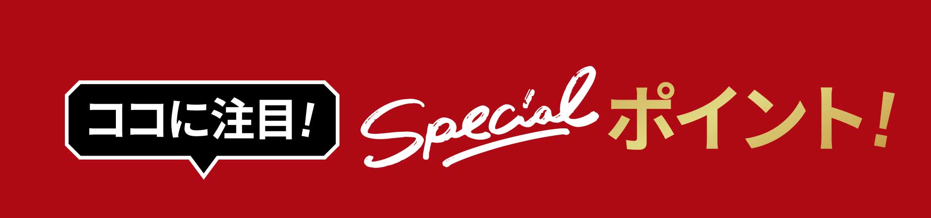 ココに注目!Specialポイント!
