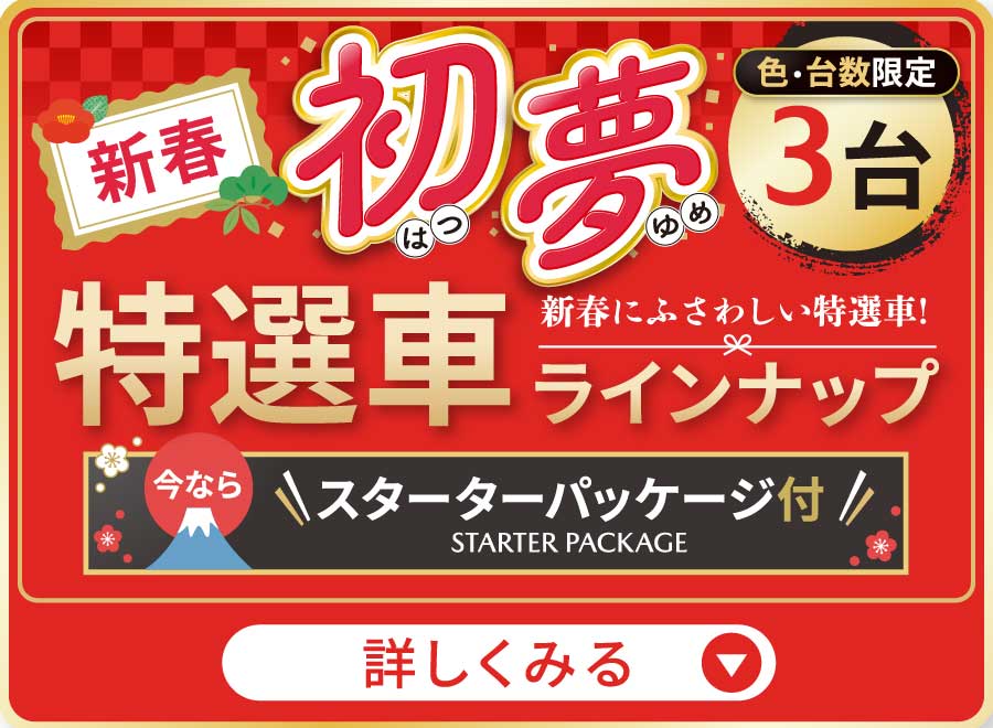 初夢特選車ラインナップ 詳しくみる