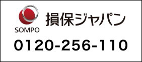 損保ジャパン日本興亜