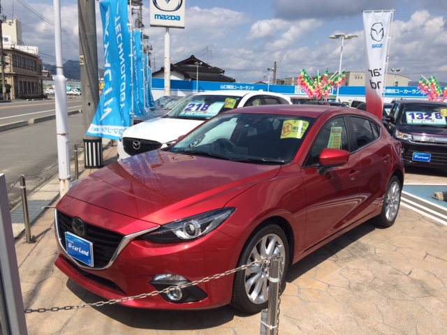 スカイシリーズの中古車もかなり揃ってきました！