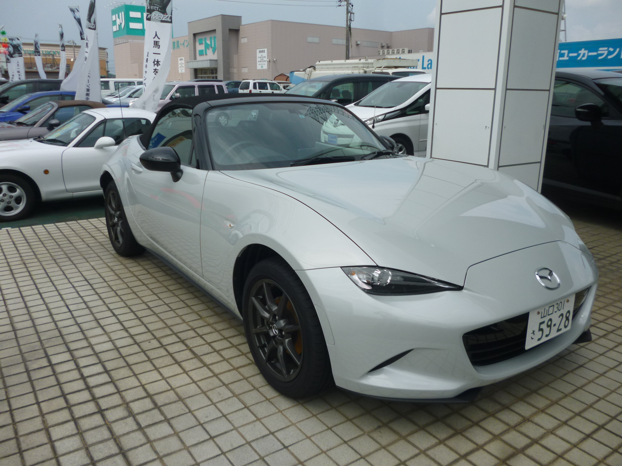 今日から元気に営業中♪