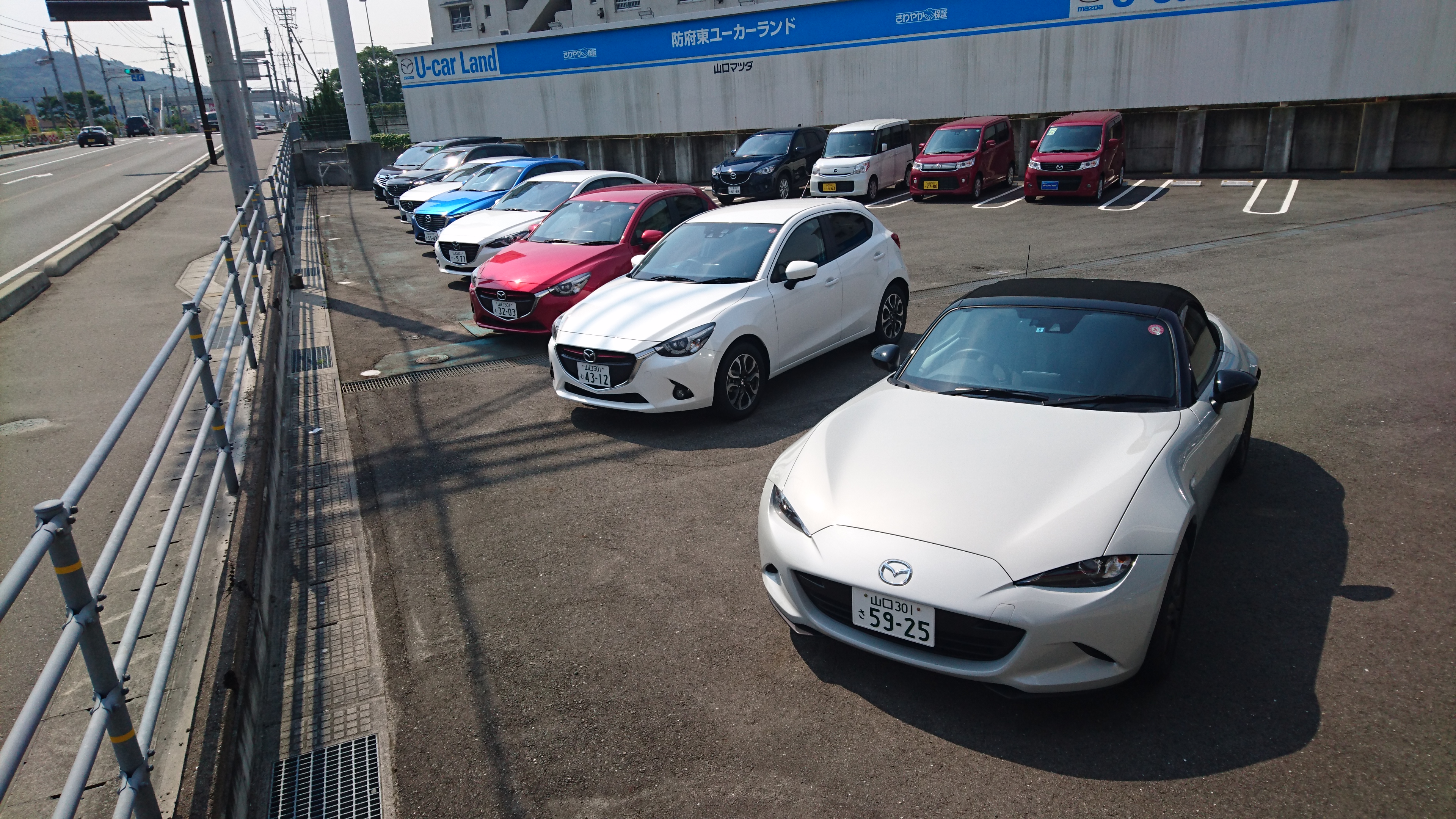 たくさんの試乗車をご準備しております