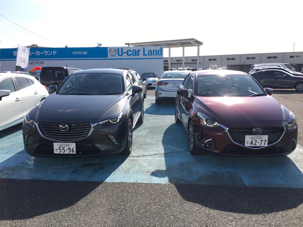 ふたつとも綺麗な新色です！