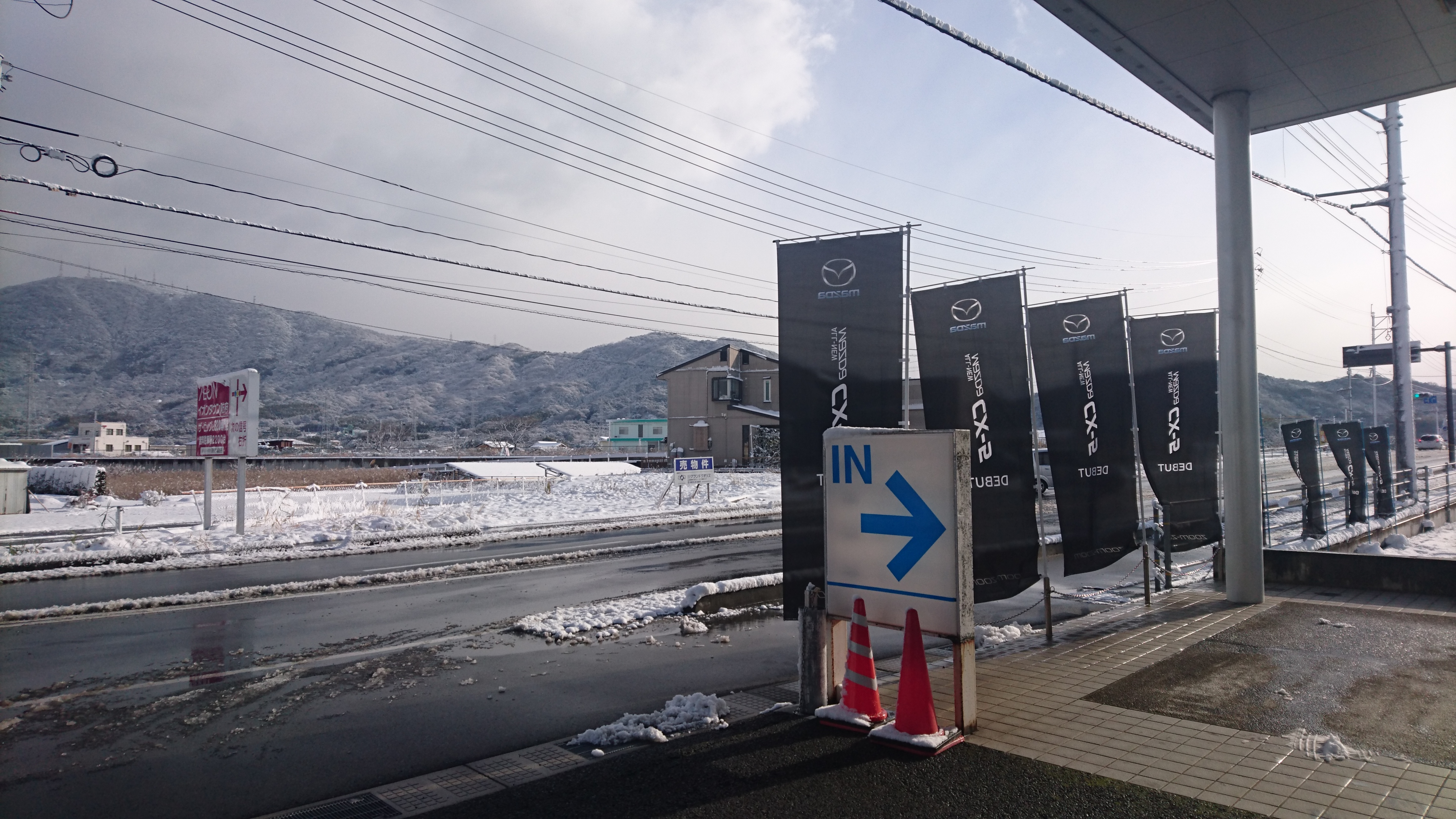 美しい雪化粧の大平山です。