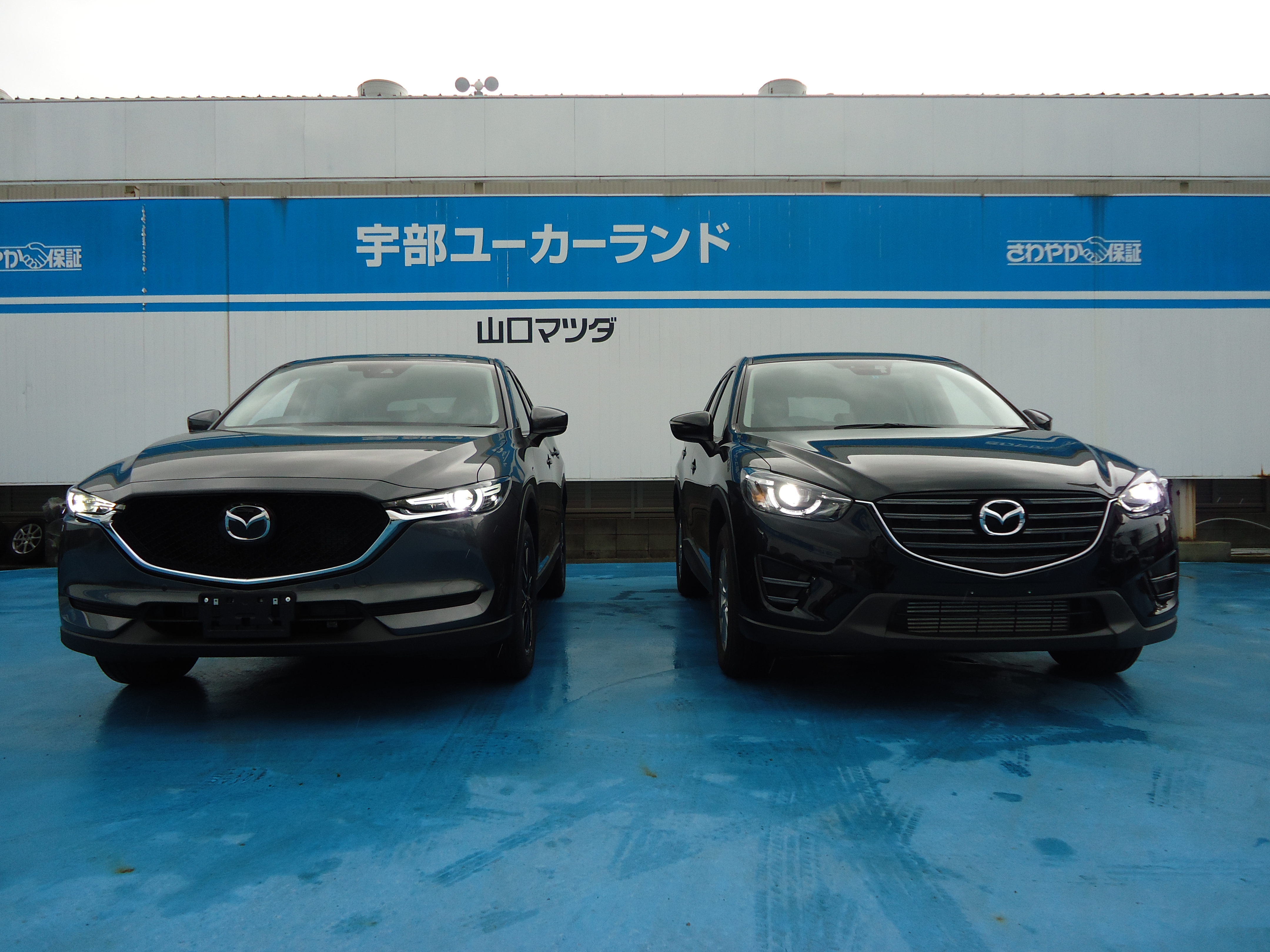 新型ｃｘ 5発売 山口マツダ新下関店のブログ