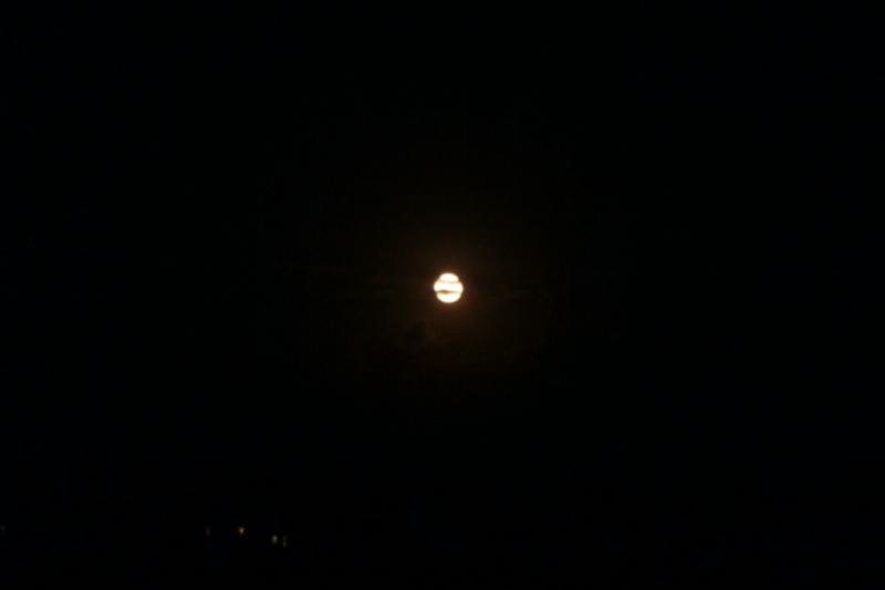 夜は月が見えるほど晴れました