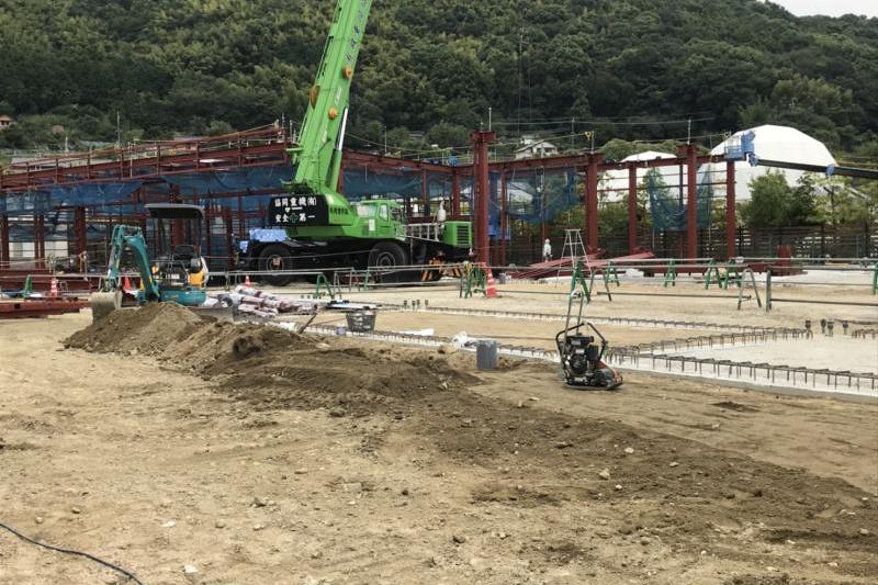 ９月６日撮影したものです。