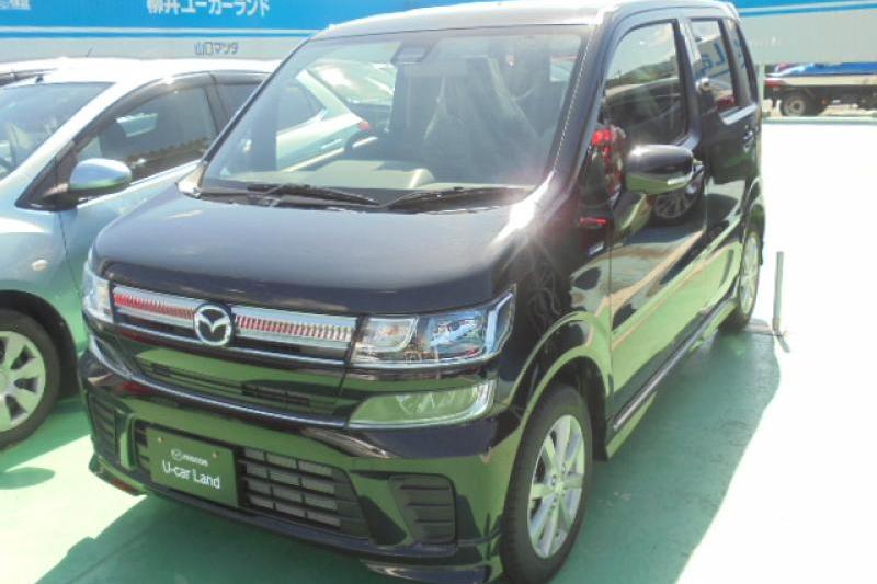 ⑧　ソテツ　８号　美形　最高等級 木製帆船模型キット バイレム