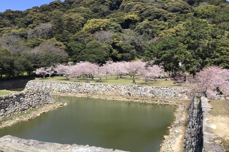萩城天守閣跡より(3月撮影)
