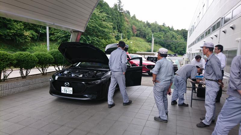 展示の様子