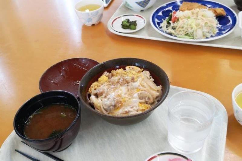 セミナーパークの食堂でお昼ごはん♪親子丼ととんかつ定食です(^^♪