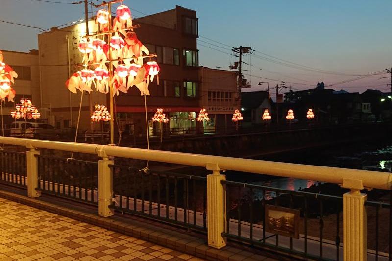 JR柳井駅～白壁の町並み一帯で見られます。