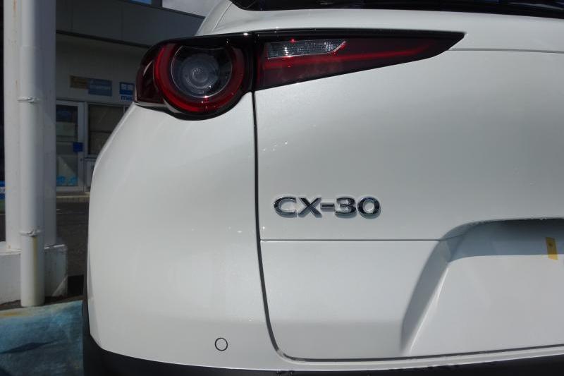 ＣＸ－３０