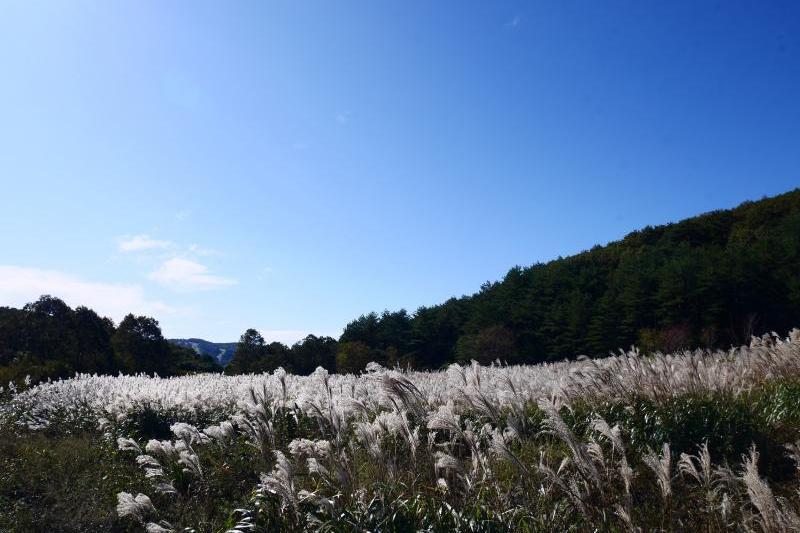 北広島町　臥竜山麓　八幡原公園