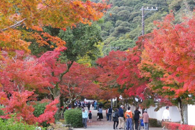 紅葉谷公園もかなりの人出に