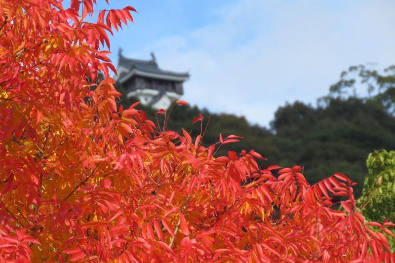 奥に見えるは岩国城