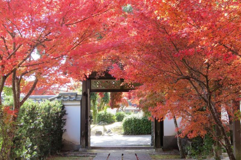 この一枚のため待ちました