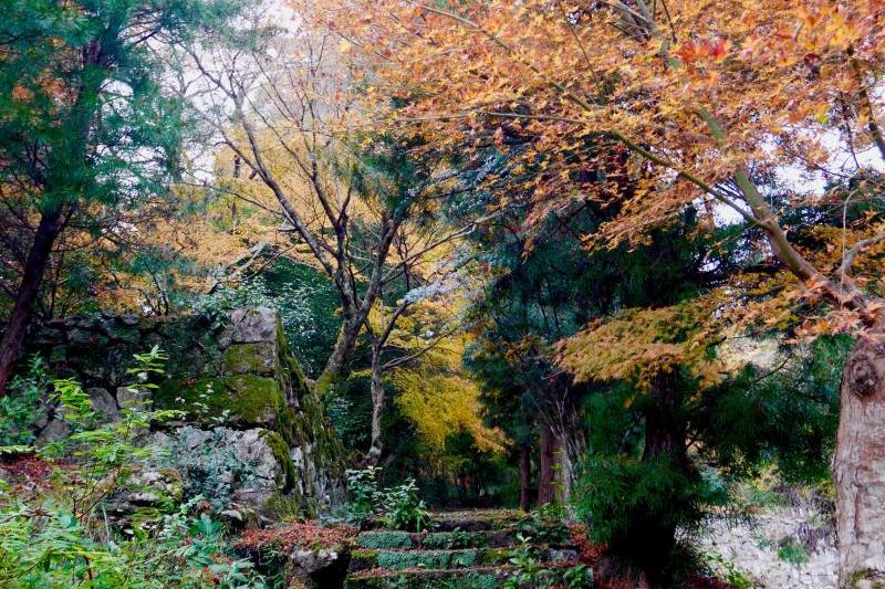 綺麗な紅葉も、石垣も良い雰囲気でした