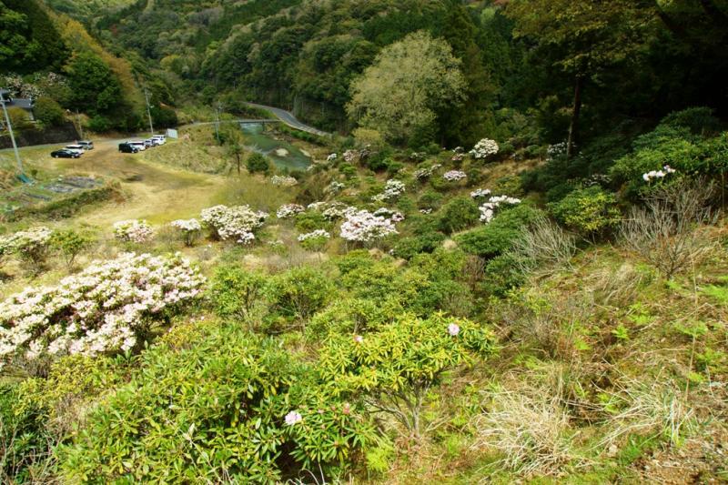 見えている道路は県道34号線