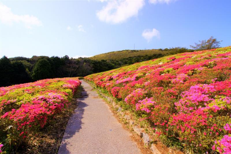 遊歩道も綺麗に整備せれています