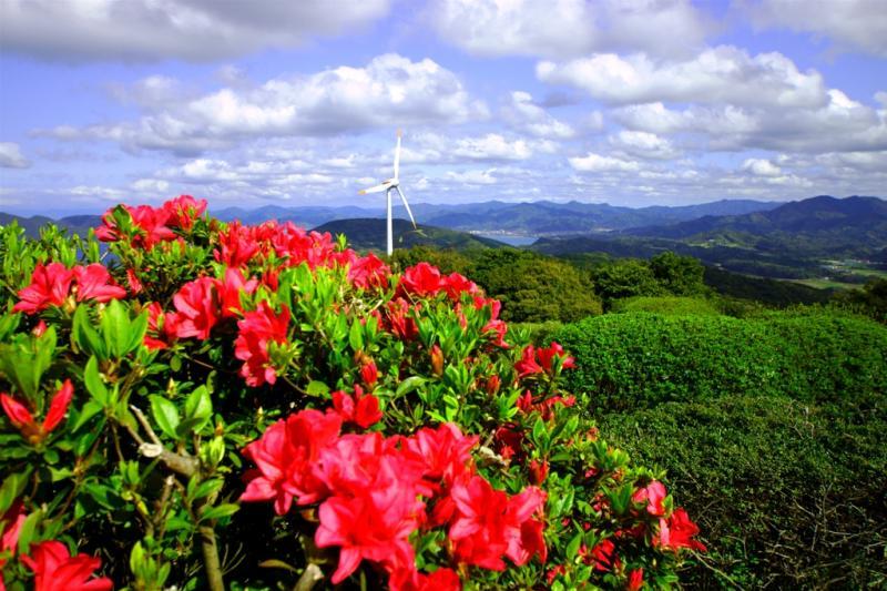 四季折々の花も楽しめます