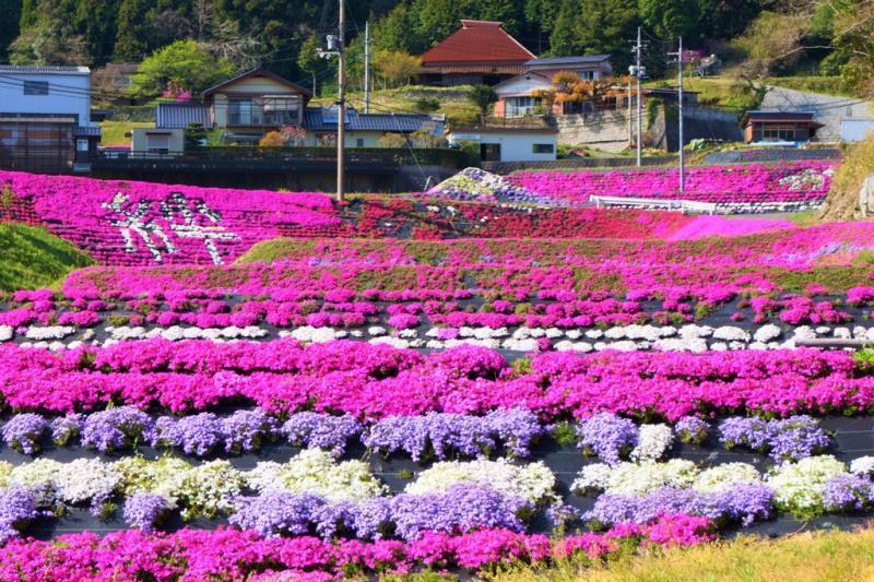 入り口を入るといきなり目に飛び込んで来ます