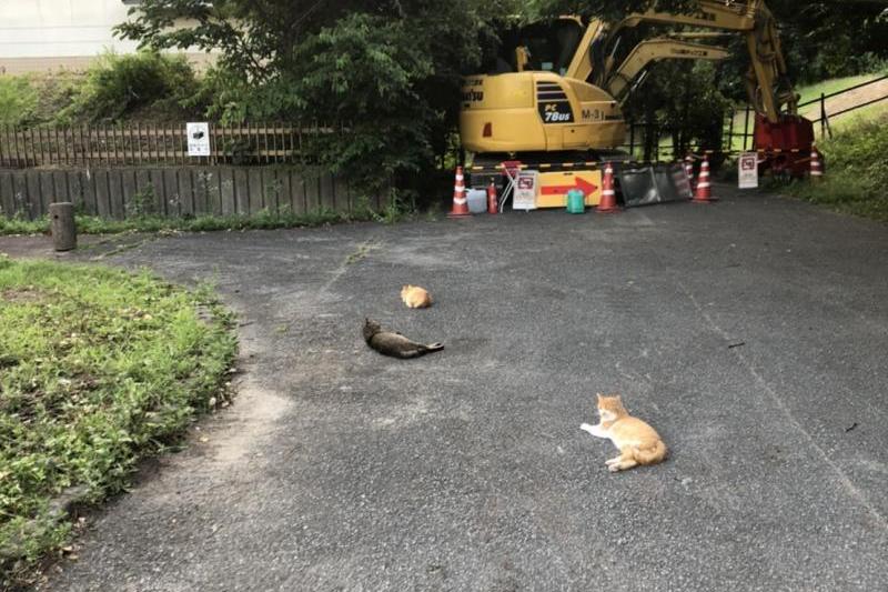 店長が散歩の途中で撮ってくれました③