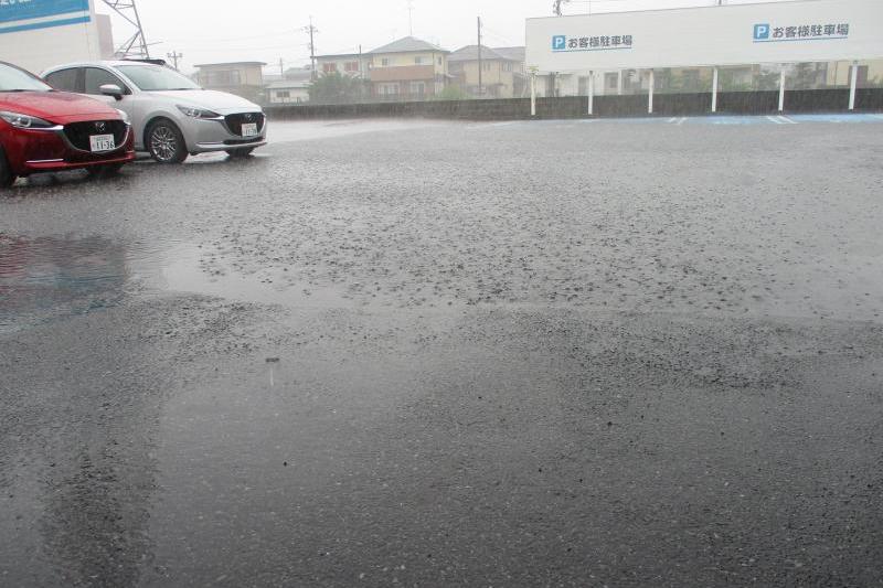 スゴイ物を見てしまった。