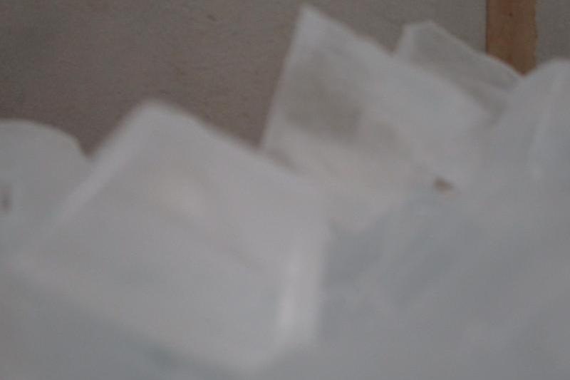 今回は成功とはいきませんでした。