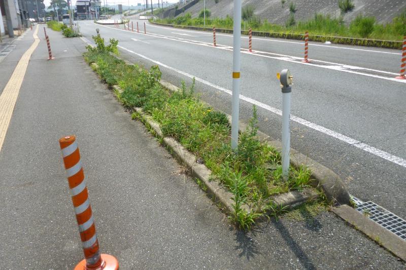 ここの花壇を整備します。