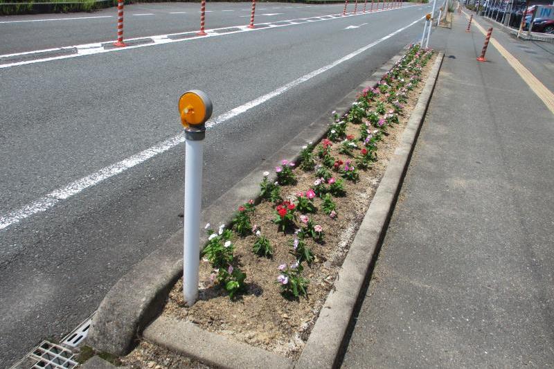 キレイな花壇の完成です。