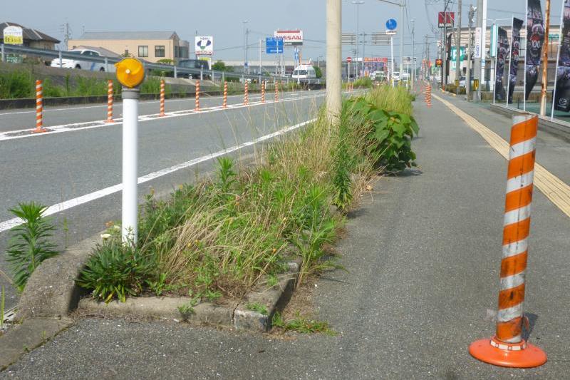 草がボウボウだった、お店前の花壇が