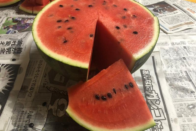 watermelon