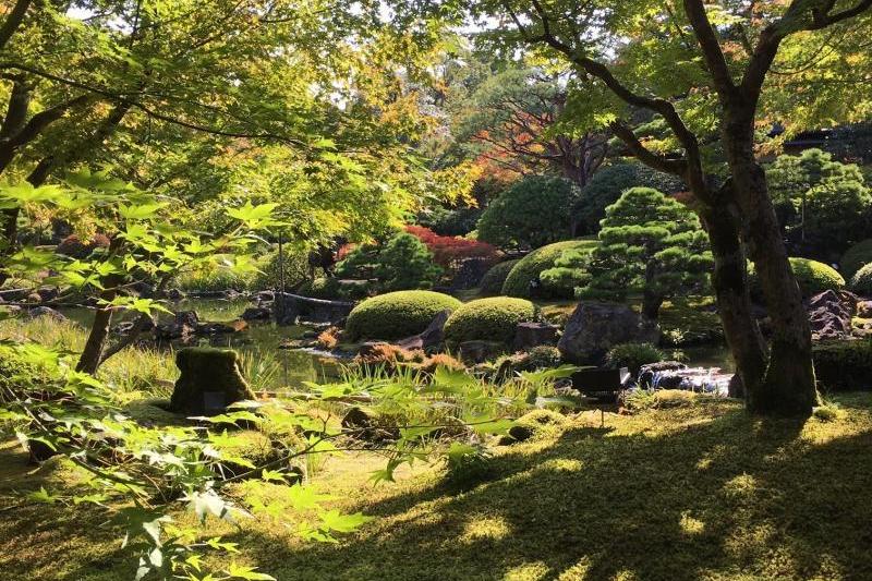 丁寧に管理された庭園