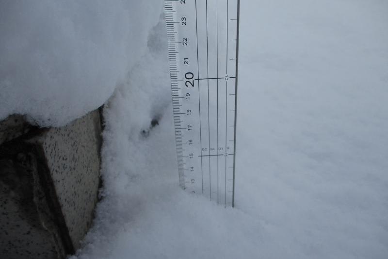 展示場の積雪量、なんと１２センチ