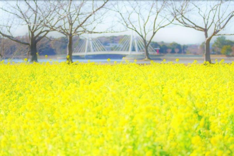 ＃ときわ公園