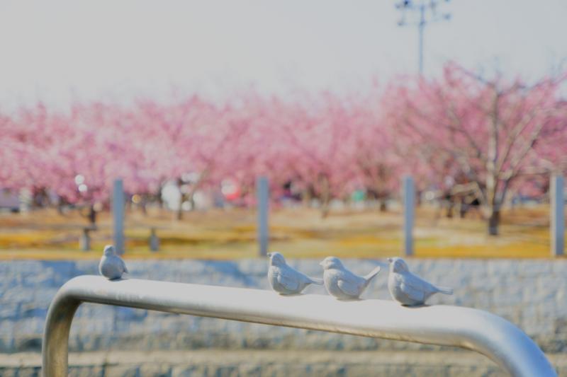 親水公園