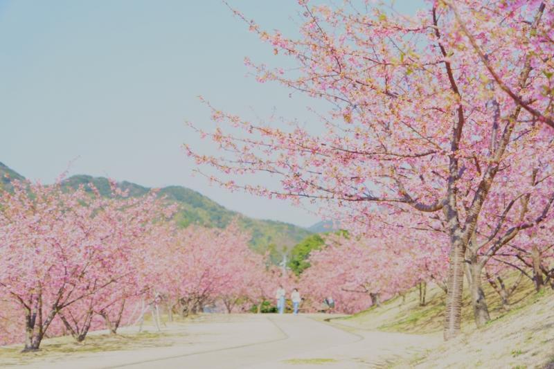 萩市陶芸の村公園