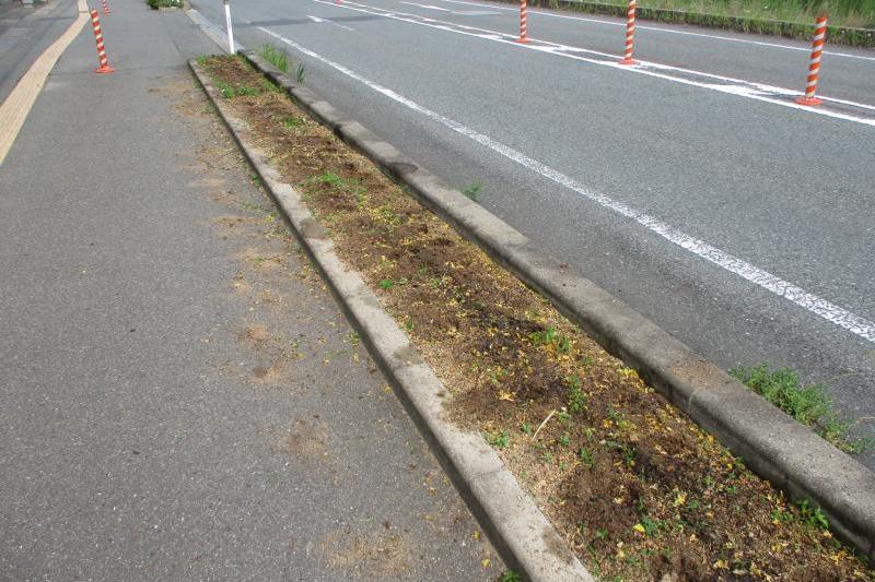 １ヶ月前、パンジー撤去の花壇です。