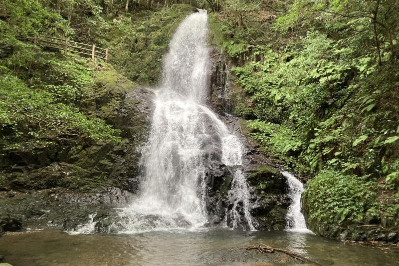 先日の雨で水量がわずかながら増えました。