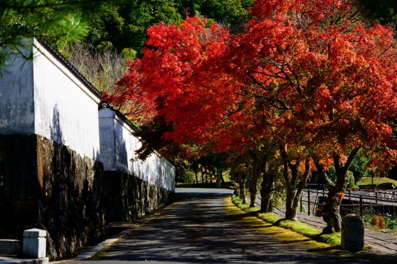 ＃漢陽寺　