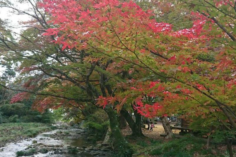 赤田神社