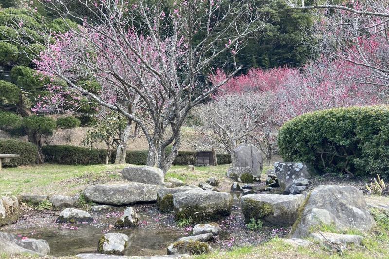園内は綺麗に整備されています。
