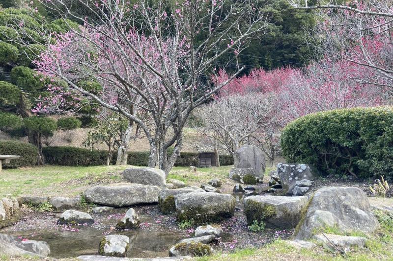 園内は綺麗に整備されています。